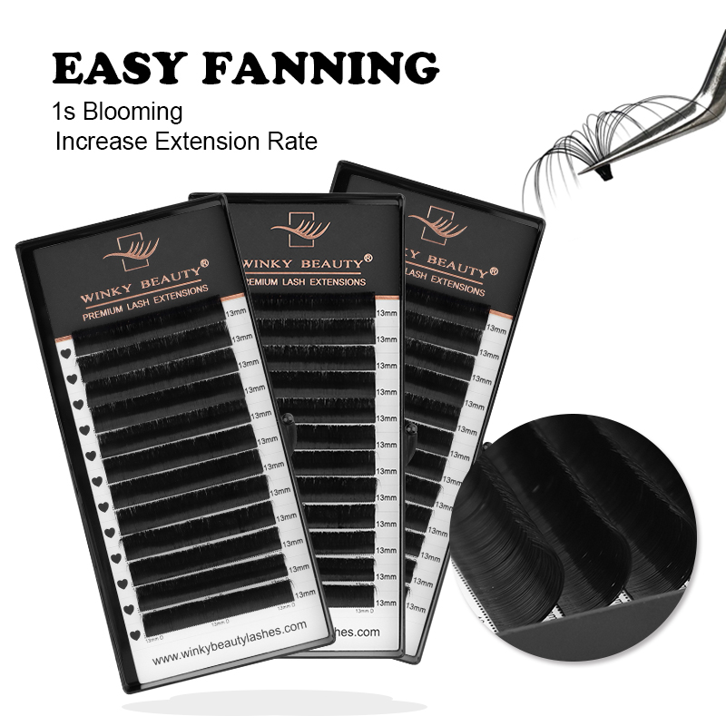 Winky Beauty 쉬운 팬 속눈썹 메가 볼륨 속눈 - Eyelash Extension Mega Volume 리뷰 및 가격