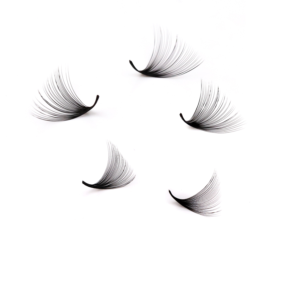 래쉬프로페서 XL 트레이 3D 4D 5D 6D 7D 8 - Eyelash Extension Mega Volume 리뷰 및 가격