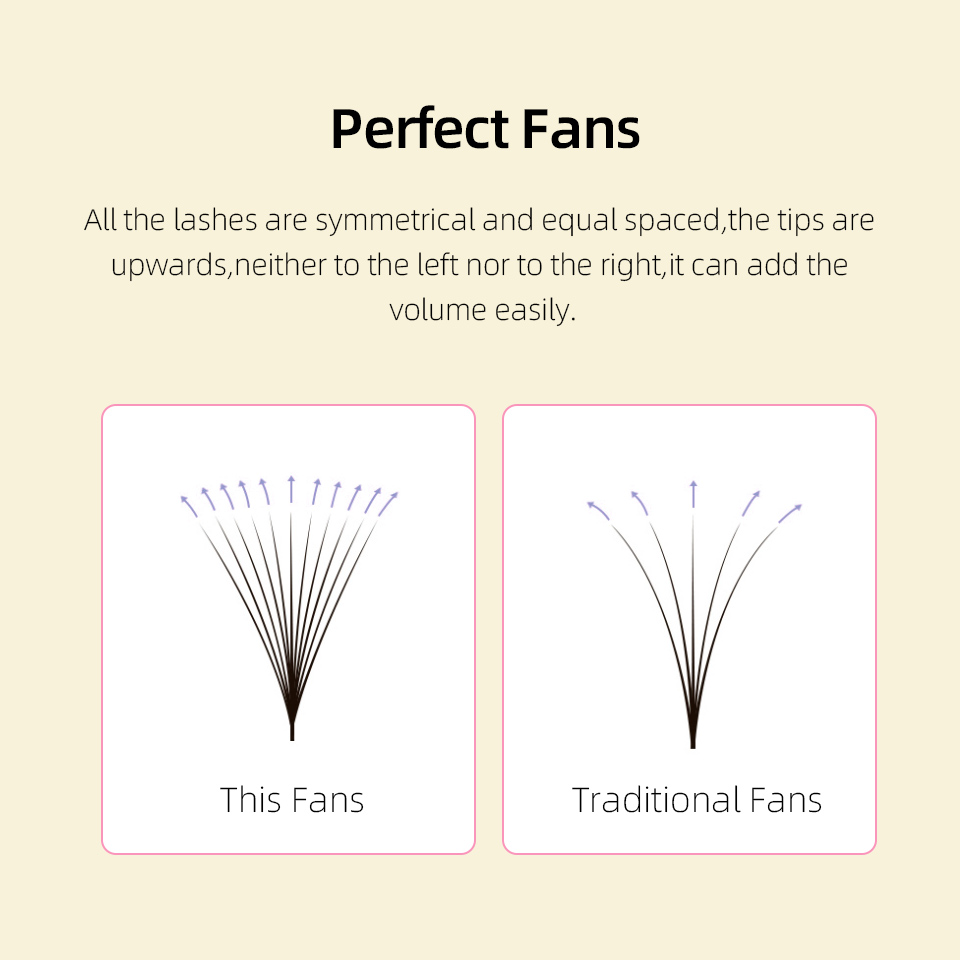 래쉬프로페서 XL 트레이 3D 4D 5D 6D 7D 8 - Eyelash Extension Mega Volume 리뷰 및 가격