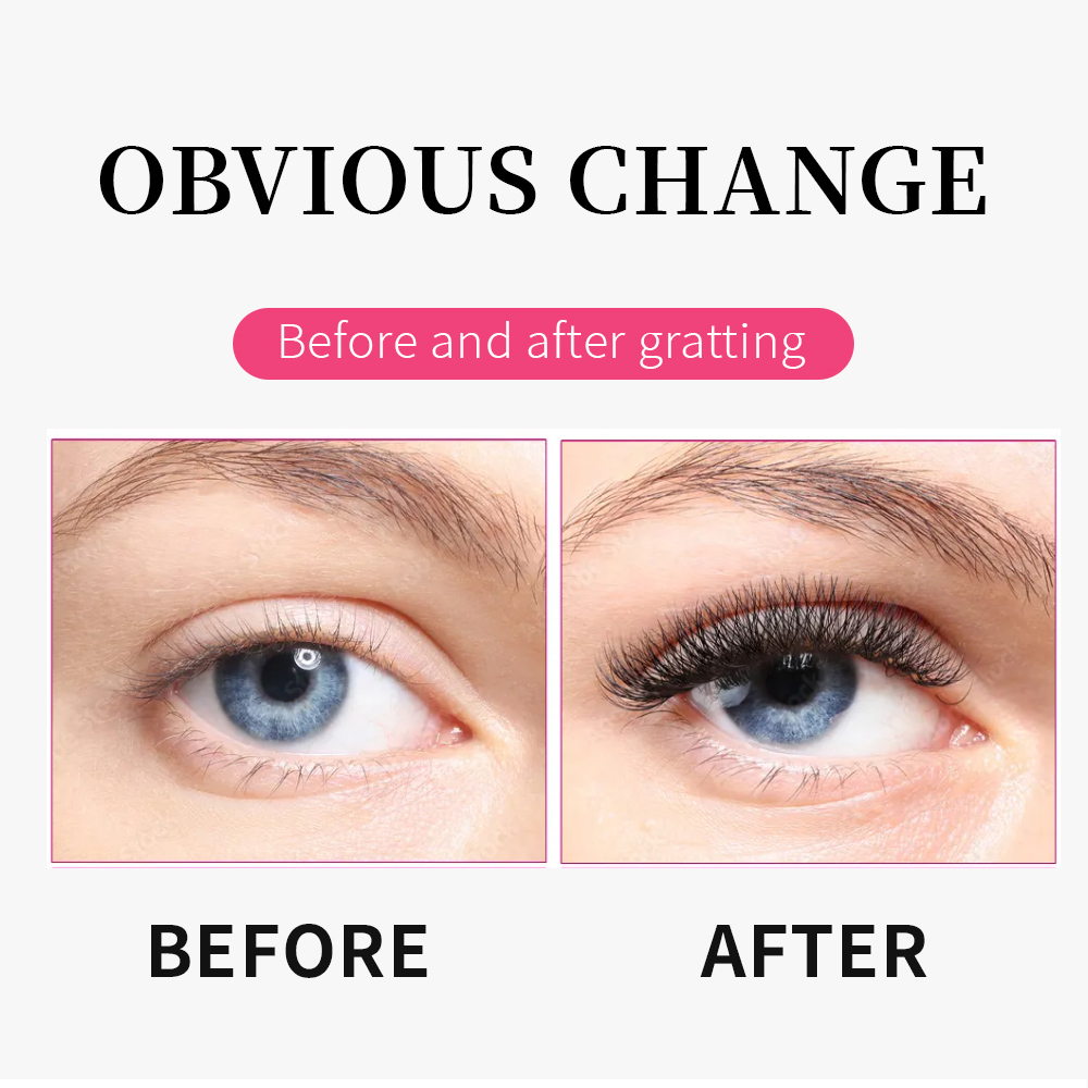 여신 5D W형 속눈썹 대량 묶음 속눈썹 연장 메가 볼 - Eyelash Extension Mega Volume 리뷰 및 가격
