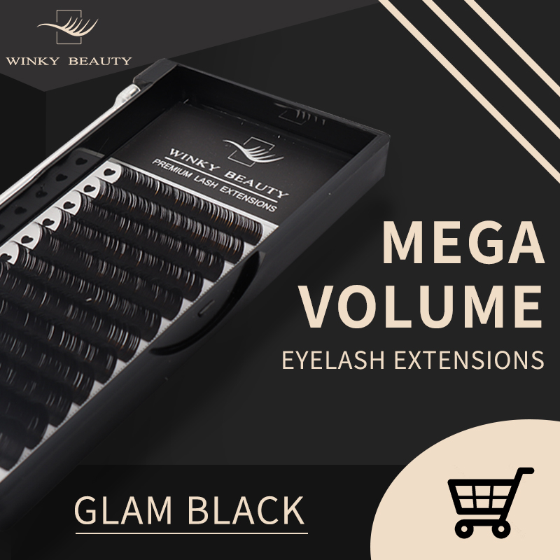 윙키 뷰티 맞춤형 로고 개별 속눈썹 익스텐션 실크 속눈 - Eyelash Extension For Asian Eyes 리뷰 및 가격