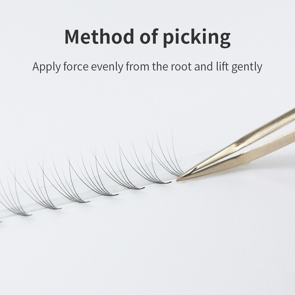 글램래쉬 프리메이드 볼륨 팬 속눈썹 연장 600팬 메가 - Eyelash Extension Mega Volume 리뷰 및 가격